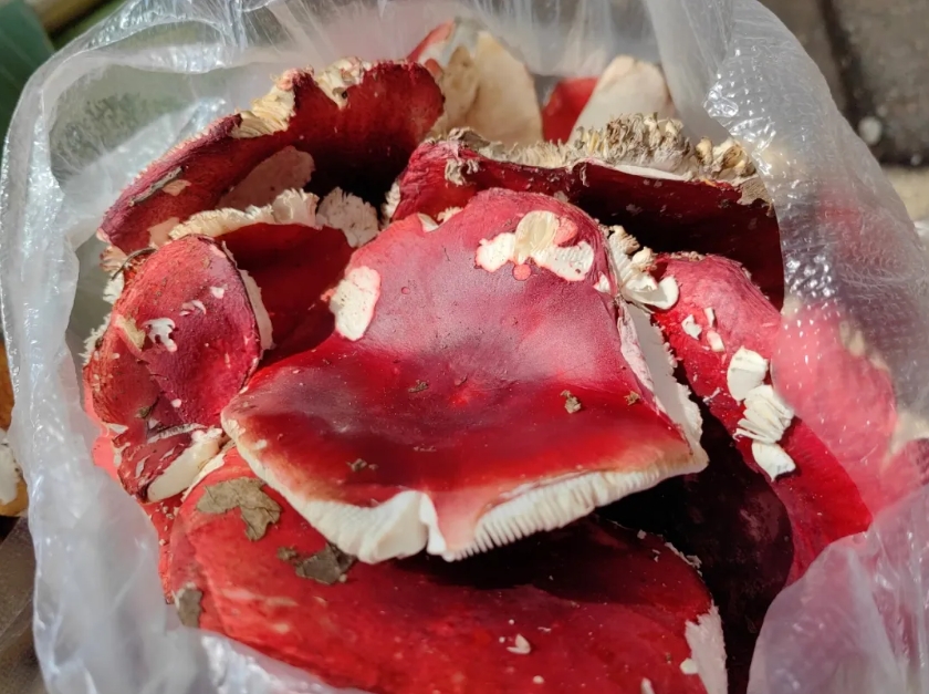 1749431290860480.jpg 04.jpg