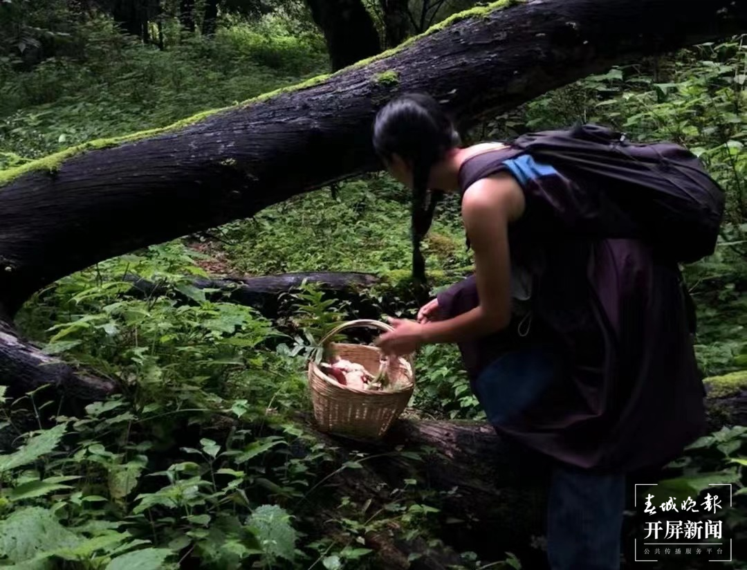 ▲年轻游客在大理徒步山林采摘蘑菇。来源：美团商家供图.png