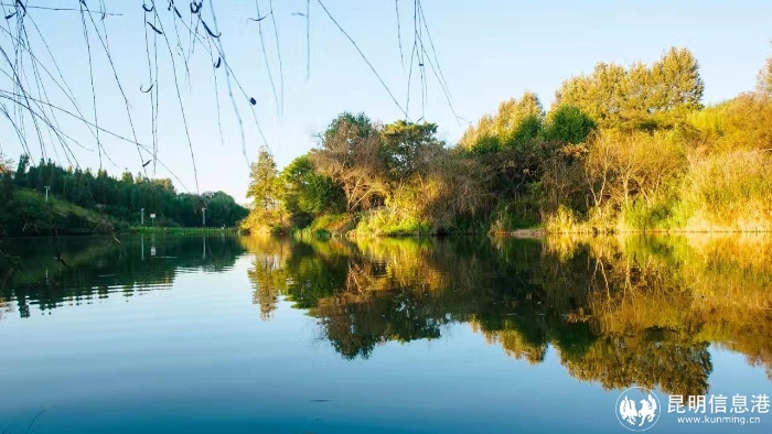 1859d9e5fe404551aa24163f1edeeb9c 1859d9e5fe404551aa24163f1edeeb9c