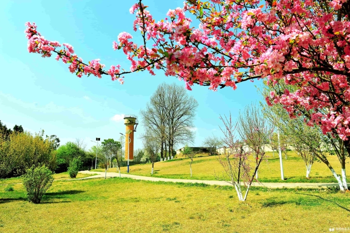 DSC_7811_副本 DSC_7811_副本