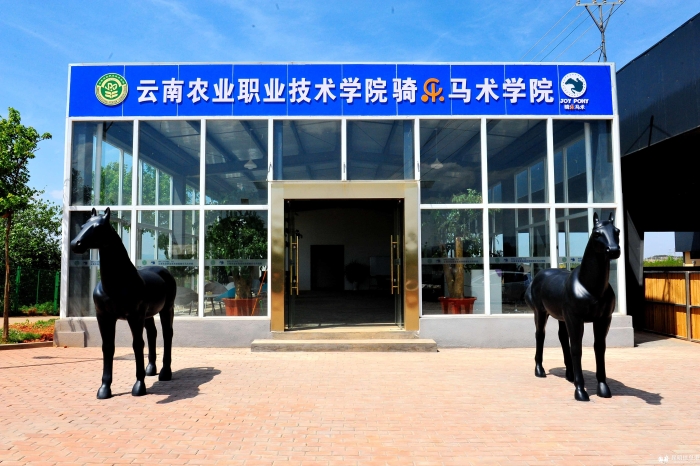 DSC_8058_副本 DSC_8058_副本