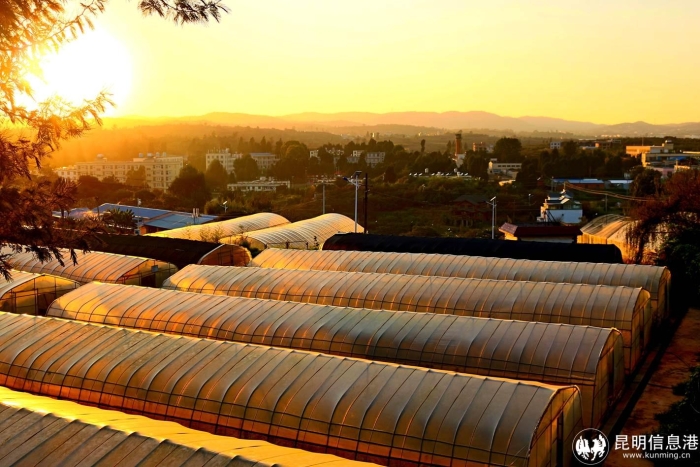 3d14e3ff0263475e86b83e3c362a523b 3d14e3ff0263475e86b83e3c362a523b