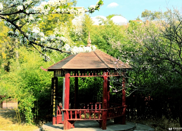 DSC_7321_副本 DSC_7321_副本