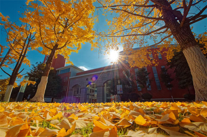 9ed5b5de1eb95ae5112a140ab41c865 9ed5b5de1eb95ae5112a140ab41c865