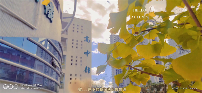 微信图片_2023030118063111