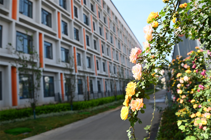 b74574ef21f250d37d8fb1d056e1c9e