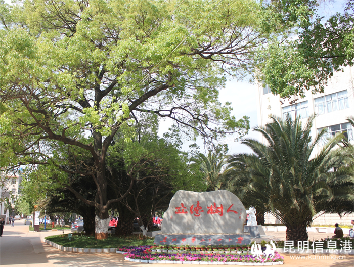 第7页-34 第7页-34