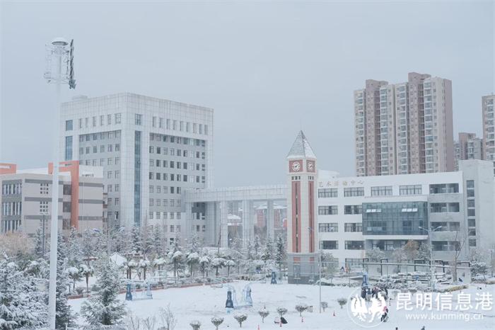 校园雪景 校园雪景