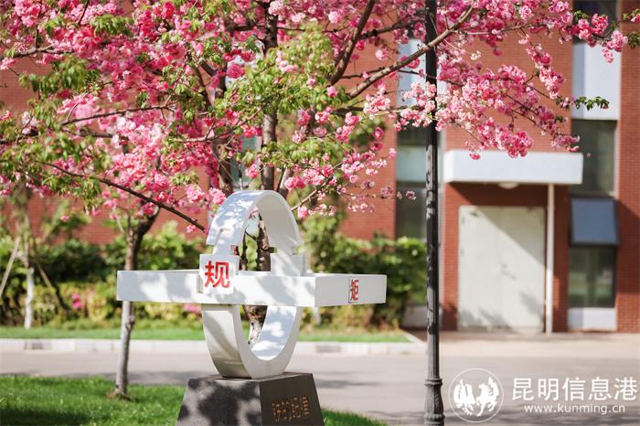 铁的纪律 铁的纪律