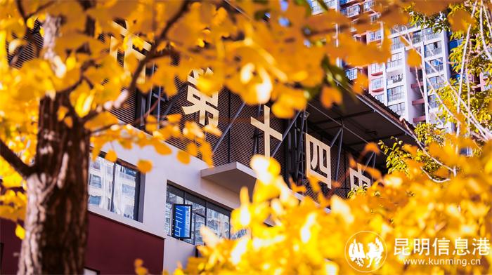 20241209-1P0A6565 20241209-1P0A6565