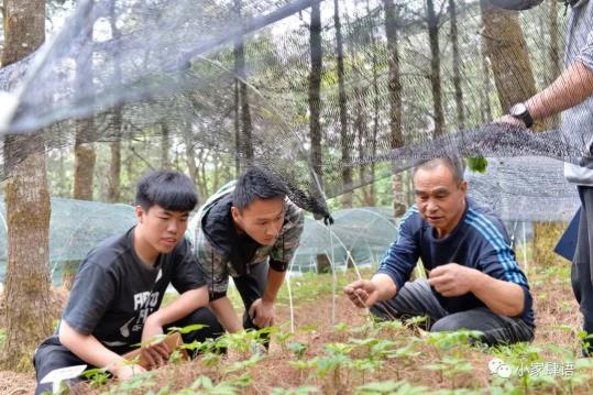 1750126947428766.jpg 360截图20250617102110895.jpg