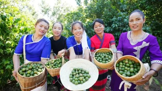 1750126970755151.jpg 360截图20250617102133185.jpg