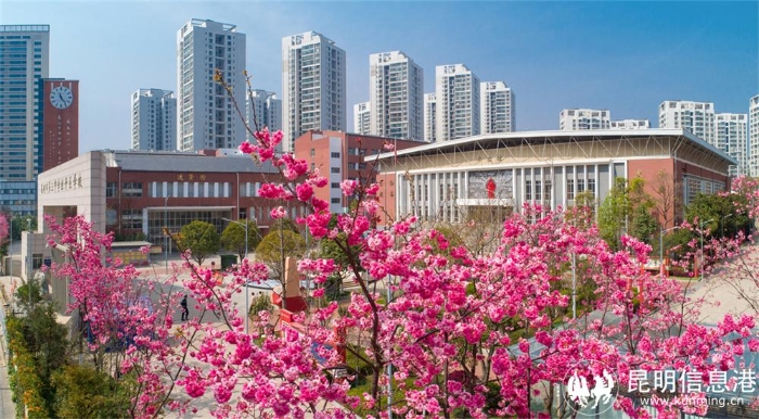 7.校园一瞰1_副本2 7.校园一瞰1_副本2