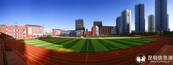 8.运动场_副本1 8.运动场_副本1