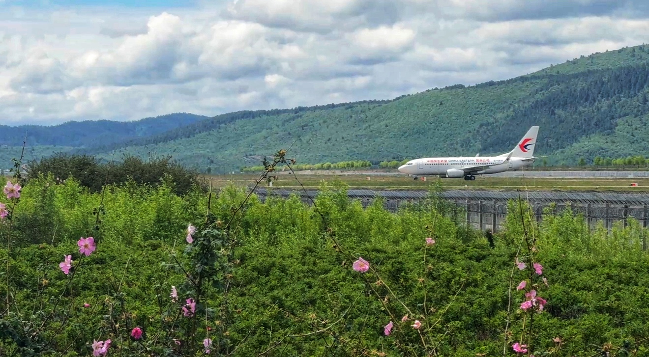 3a119f68-6e57-446f-8fdd-c527da964035 3a119f68-6e57-446f-8fdd-c527da964035