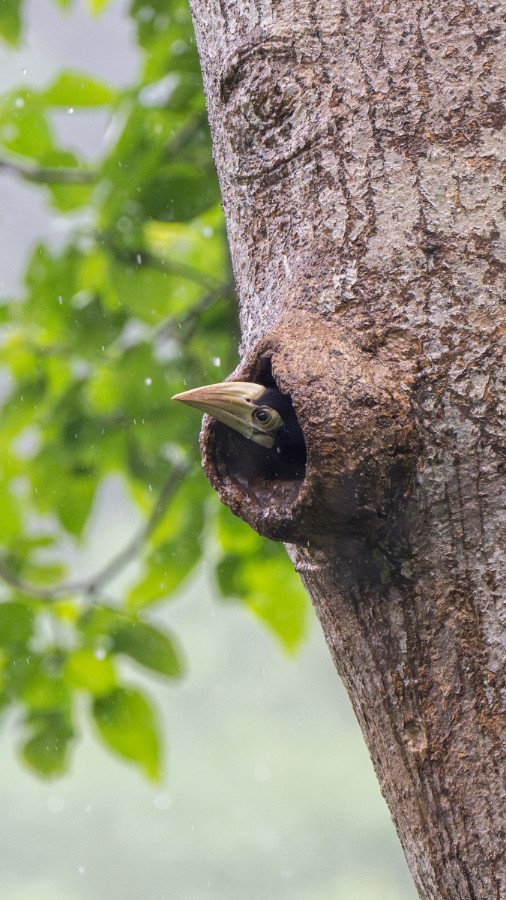 1750930873157816.jpg 微信图片_20250626173551.jpg