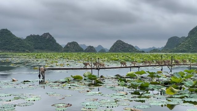 微信图片_20250707173948.jpg