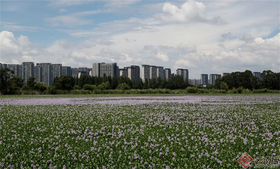 00307190381_c336509d