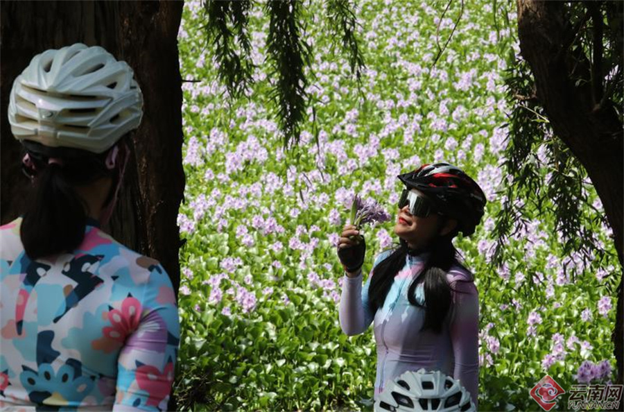 00307190383_588e9b1d