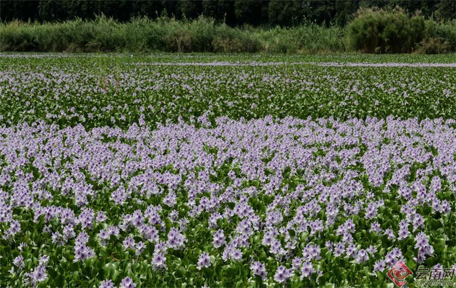 00307190385_d688b5b5