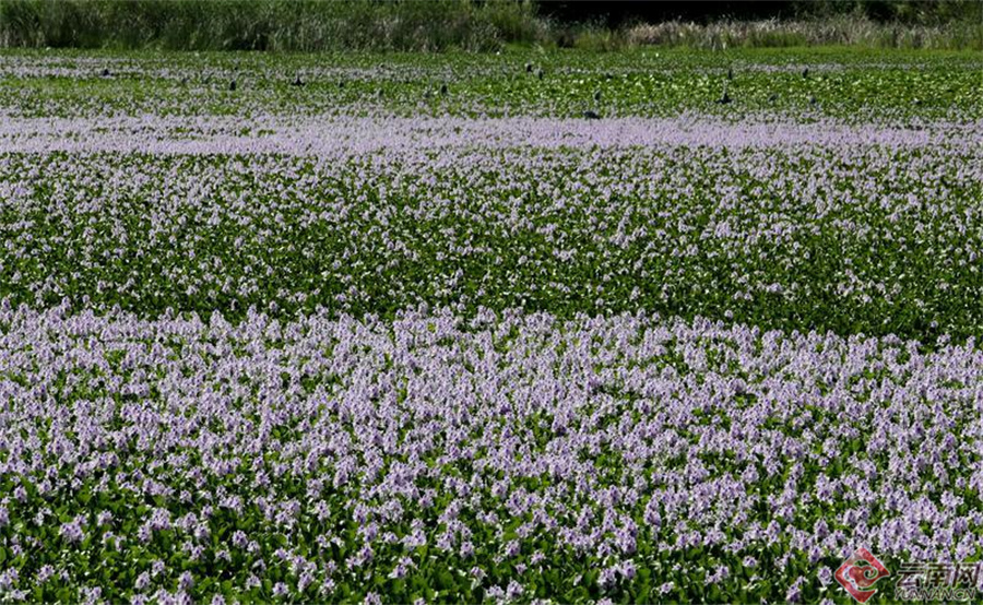 00307190386_f49e4a61