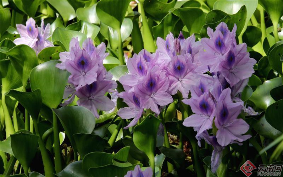 00307190388_cc65c385