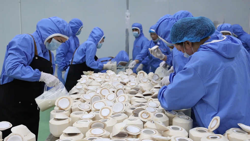 2025070840d0f719a1f147a0a9ecfb6a92d0d70e_e8c6faf73dd84f00aefca3058ac56fce