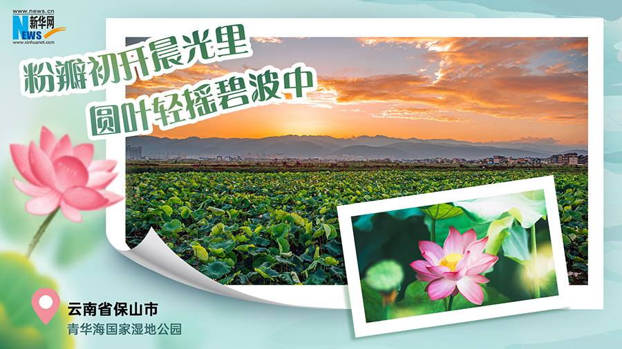 4jP9Wvfpipbk1xwJ 4jP9Wvfpipbk1xwJ