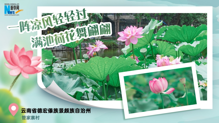 202507180bde3fdc9b544033af84cf7302f832f9_20250717b3ae2e12419646a392ff78515c07455d 202507180bde3fdc9b544033af84cf7302f832f9_20250717b3ae2e12419646a392ff78515c07455d