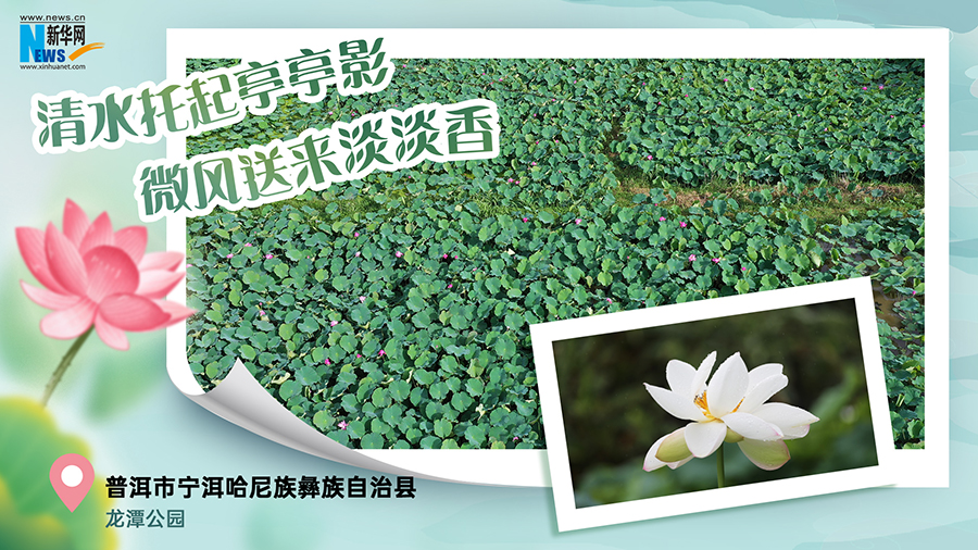 202507180bde3fdc9b544033af84cf7302f832f9_20250717cecd43854e0d495b8af3257c994e919e 202507180bde3fdc9b544033af84cf7302f832f9_20250717cecd43854e0d495b8af3257c994e919e