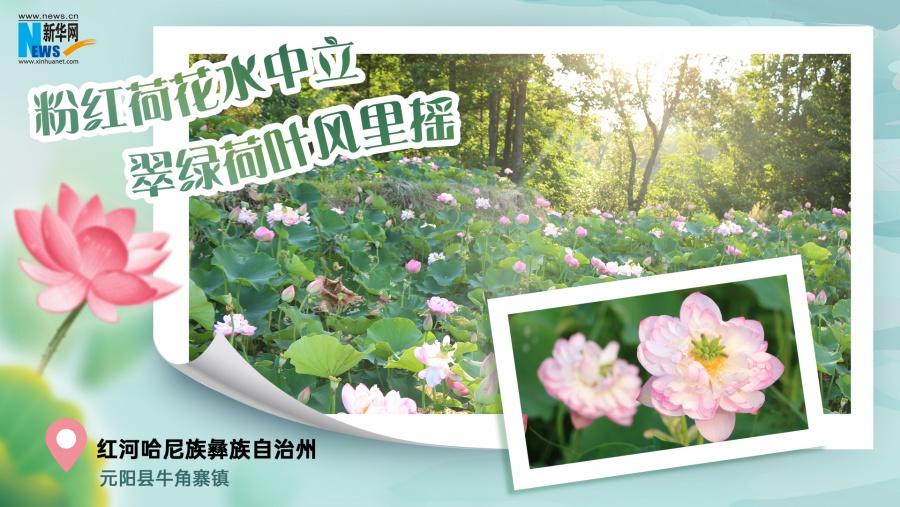 202507180bde3fdc9b544033af84cf7302f832f9_202507175a9ec6d0371548979102e71873c81539 202507180bde3fdc9b544033af84cf7302f832f9_202507175a9ec6d0371548979102e71873c81539