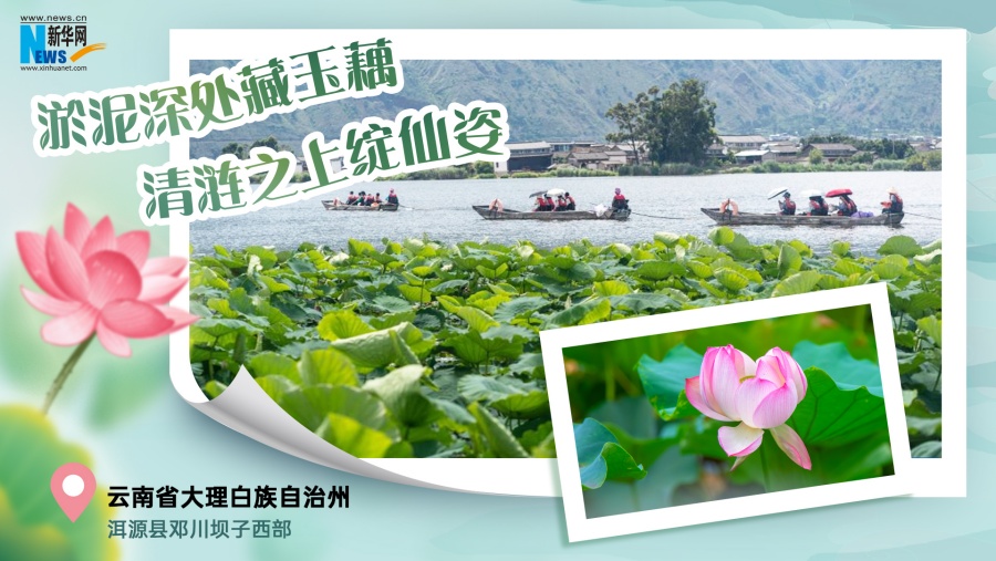 202507180bde3fdc9b544033af84cf7302f832f9_20250717397e5015af5c4033a69e76f0a2d88219 202507180bde3fdc9b544033af84cf7302f832f9_20250717397e5015af5c4033a69e76f0a2d88219