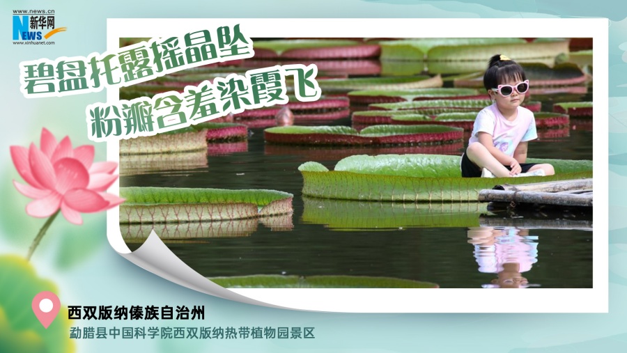 202507180bde3fdc9b544033af84cf7302f832f9_202507171386f579bc3c4018b8aa52dc93f10d90 202507180bde3fdc9b544033af84cf7302f832f9_202507171386f579bc3c4018b8aa52dc93f10d90