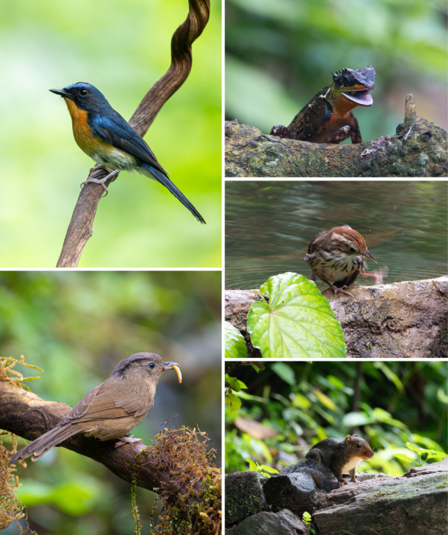 微信图片_20250724083955