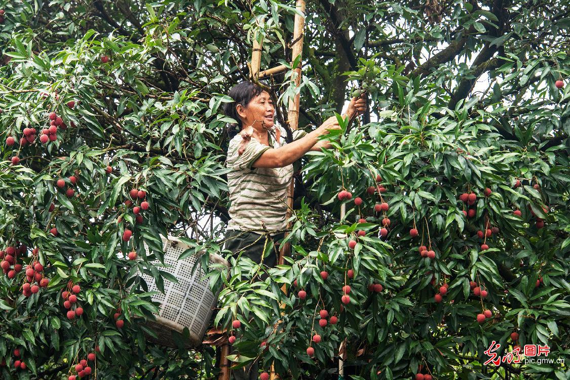 AI夏至物语——看美食、民俗、农事的像素奇遇