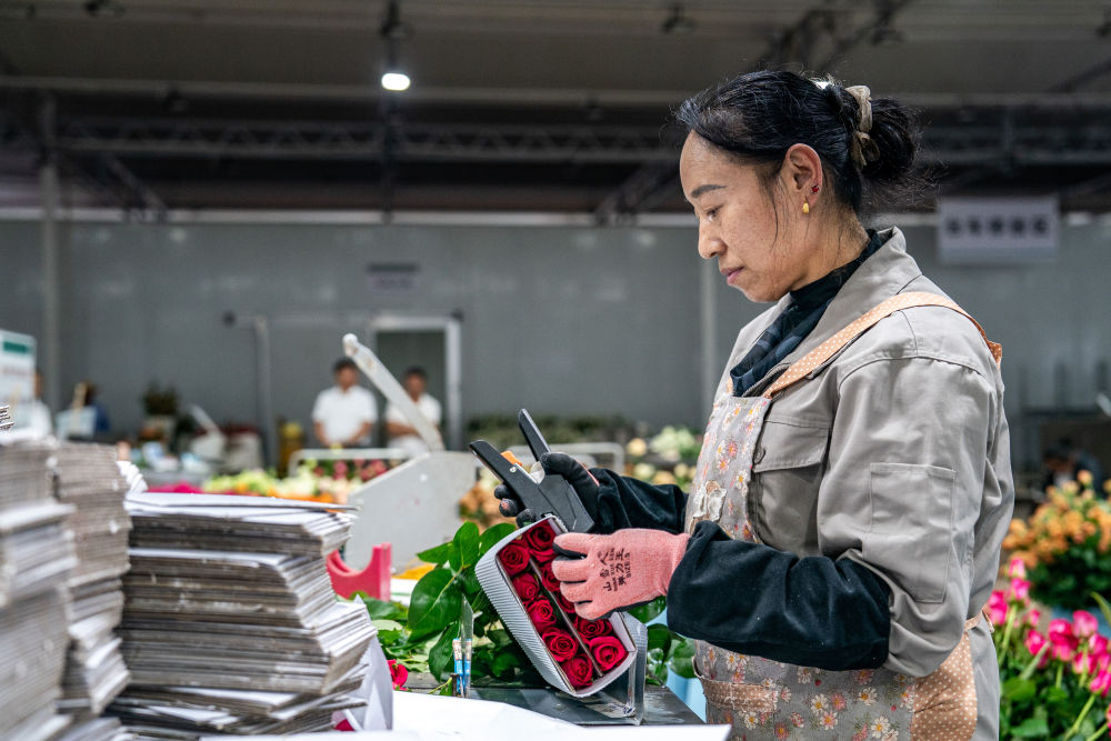 习近平总书记关切事｜幸福生活像花儿一样——把地方特色产业做优做强之二