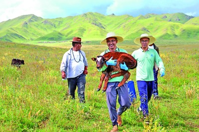 这个夏天，去西部就业成为风尚