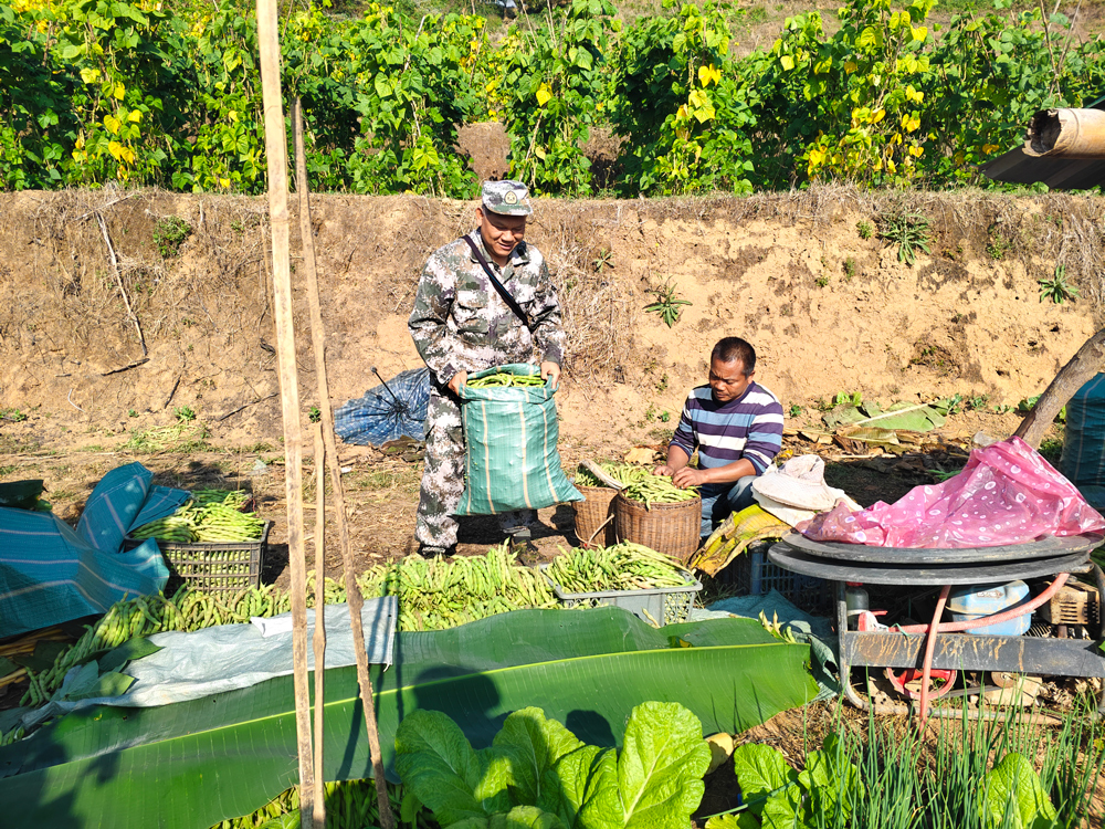 1754381231157863.jpg 205.jpg