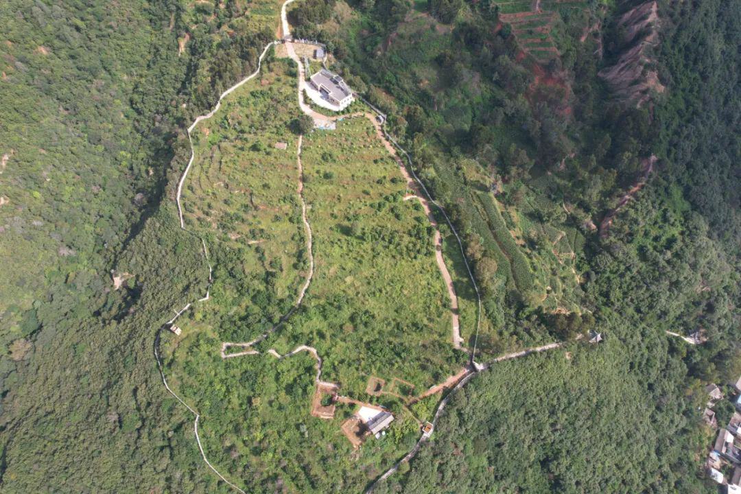 500708.jpg 500708.jpg