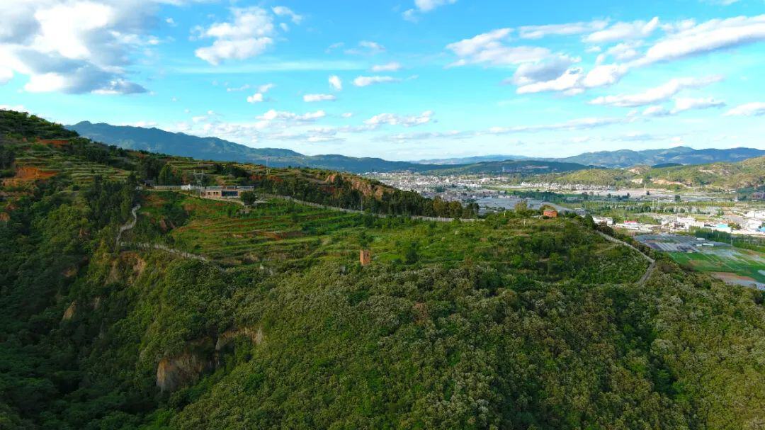 500709.jpg 500709.jpg