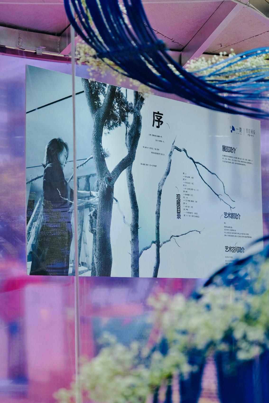 WechatIMG275 WechatIMG275