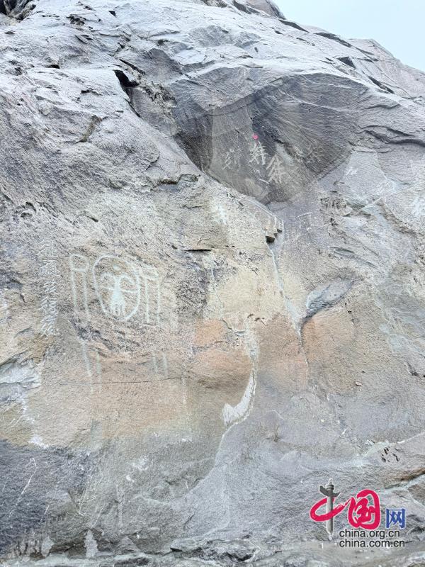 IMG_7603.jpg IMG_7603.jpg