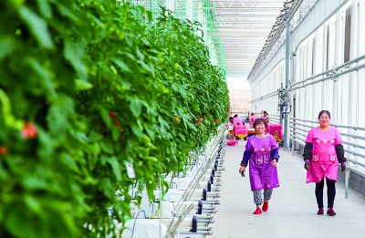 方寸屏幕“掌控”万亩良田