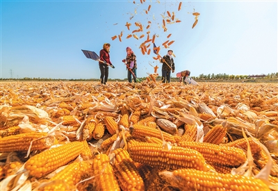 fa0c17cb-67d8-437b-84b1-d25920088ef2