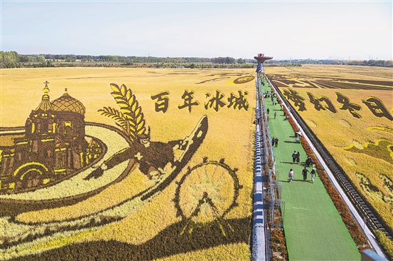 “稻花香”里庆丰收 又是一年好光景