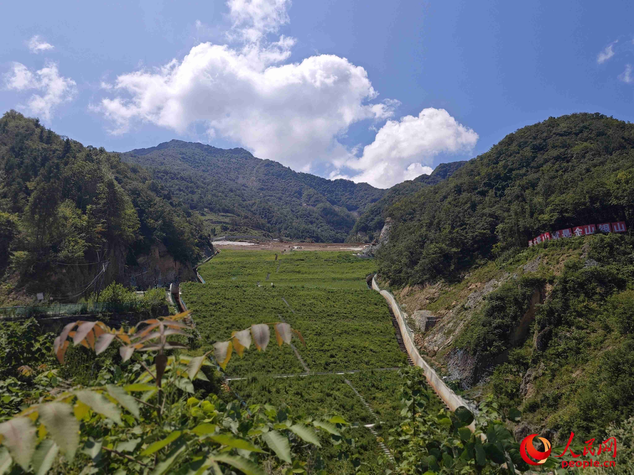 已部分复绿的贮存场。人民网记者 黄钰摄