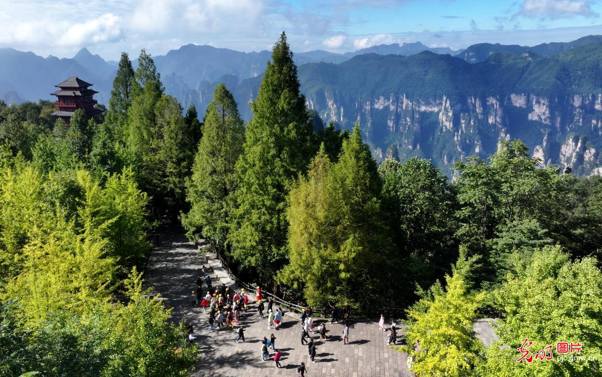 “双节”临近秋游热