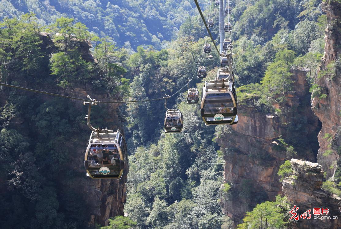 “双节”临近秋游热