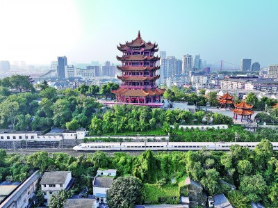 小小票根，何以成为促消费“金钥匙”