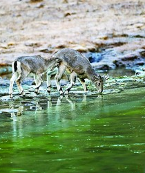 生物圈保护区——打造人与自然和谐共生样板